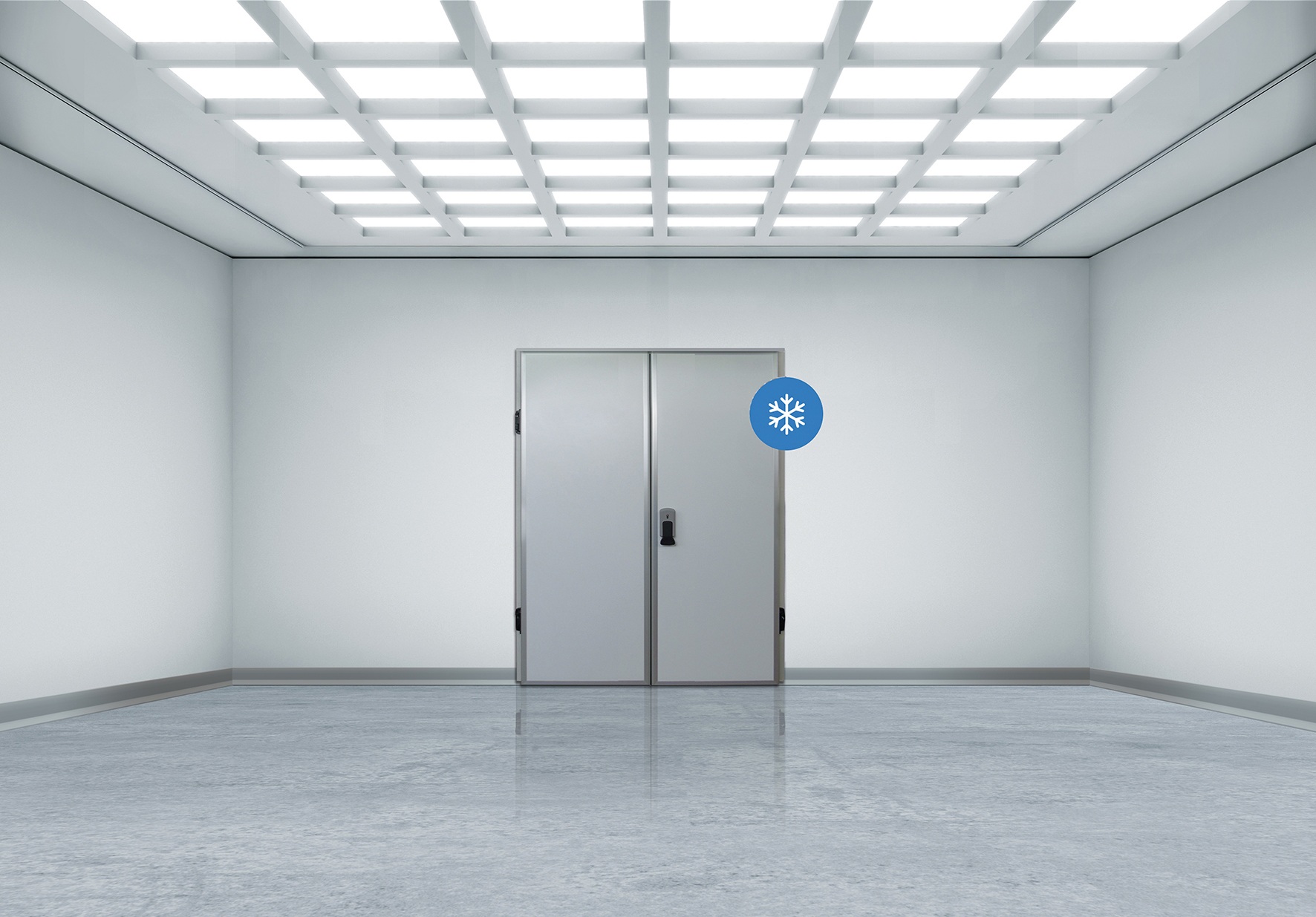 Sterile room with bright grid ceiling and double metal freezer doors.